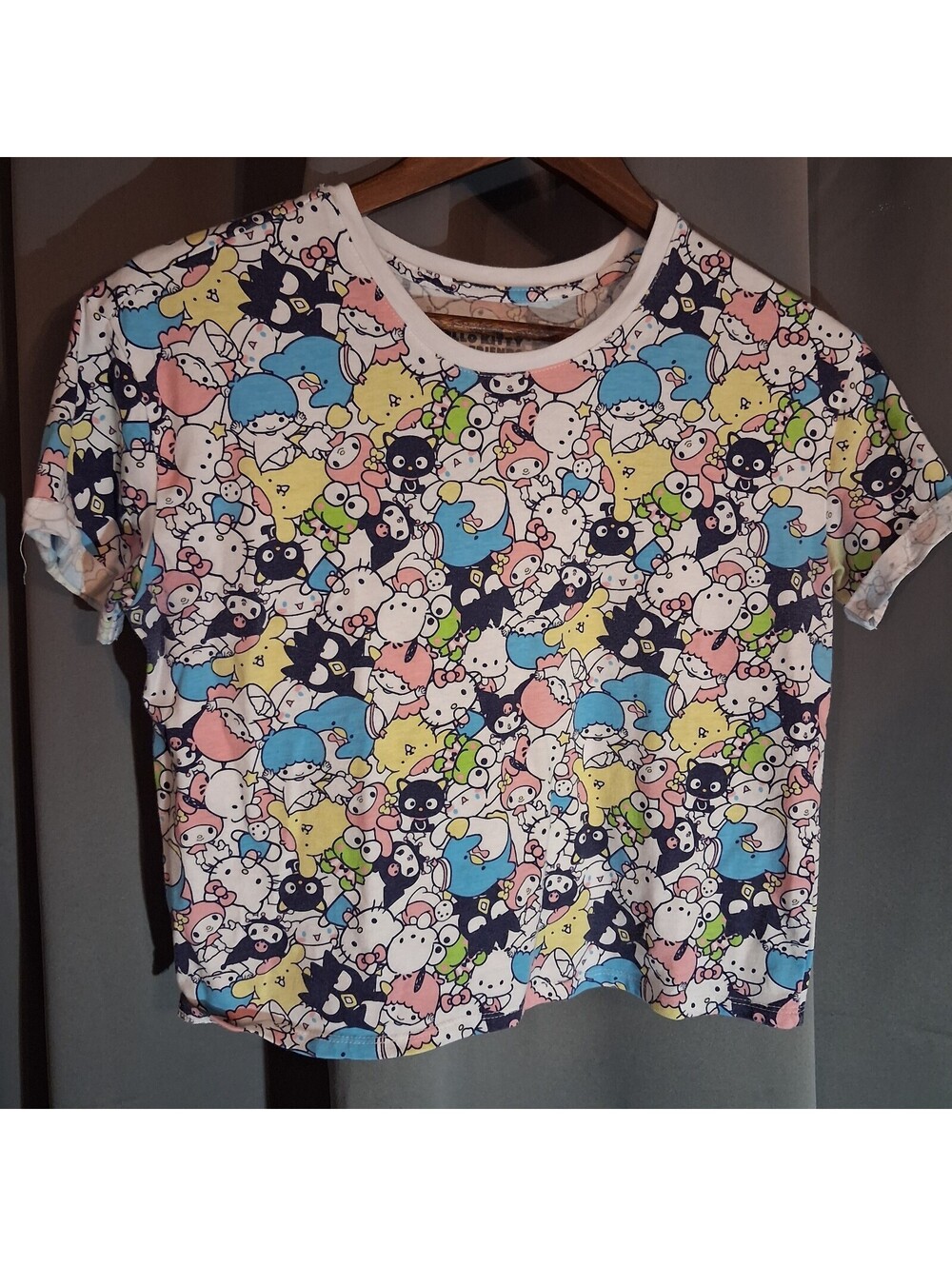 Sanrio Hello Kitty and Friends Hybrid Crop T-Shirt XL